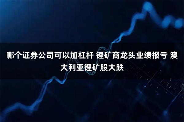 哪个证券公司可以加杠杆 锂矿商龙头业绩报亏 澳大利亚锂矿股大跌