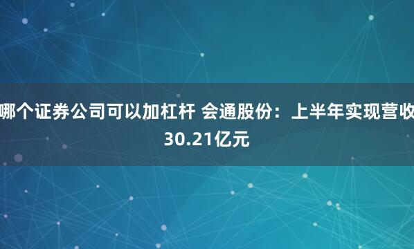 哪个证券公司可以加杠杆 会通股份：上半年实现营收30.21亿元