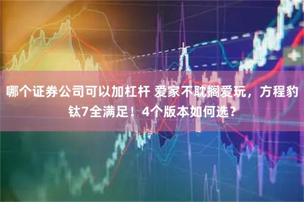 哪个证券公司可以加杠杆 爱家不耽搁爱玩，方程豹钛7全满足！4个版本如何选？