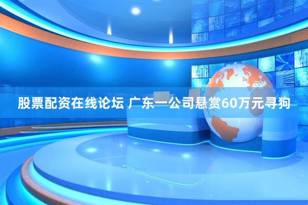股票配资在线论坛 广东一公司悬赏60万元寻狗