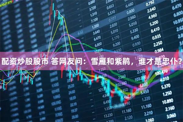 配资炒股股市 答网友问：雪雁和紫鹃，谁才是忠仆？