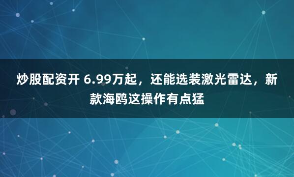 炒股配资开 6.99万起，还能选装激光雷达，新款海鸥这操作有点猛