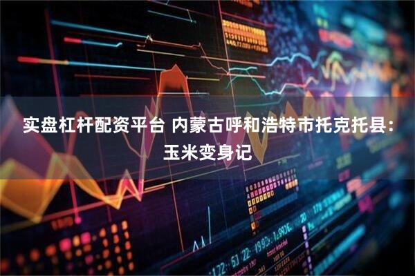 实盘杠杆配资平台 内蒙古呼和浩特市托克托县：玉米变身记